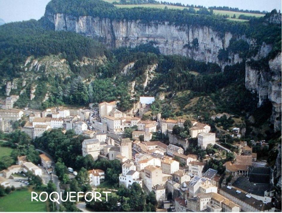 Chambre Au Calme Avec Spa Privatif Gratuit Sud Aveyron Les Palmiers Des Causses Saint-Rome-de-Tarn Buitenkant foto
